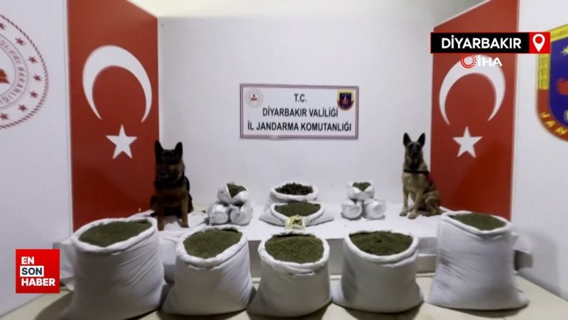 Lice'de 116 kilogram esrar ele geçirildi