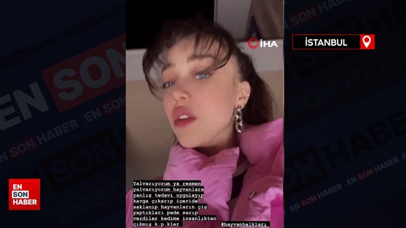 Sosyal medya fenomeninin veterinerde kedisi öldü, sinir krizi geçirdi