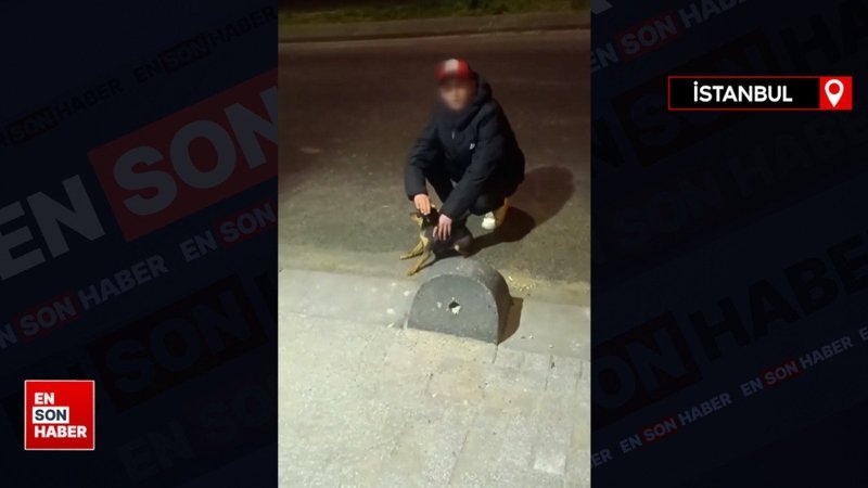 Büyükçekmece'de elektrik kaçağını test etmek için köpeği kullandı