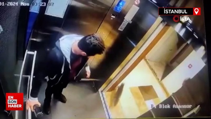 Kedi Eros'u öldüren İbrahim Keloğlan'ın yargılanmasına başlanacak