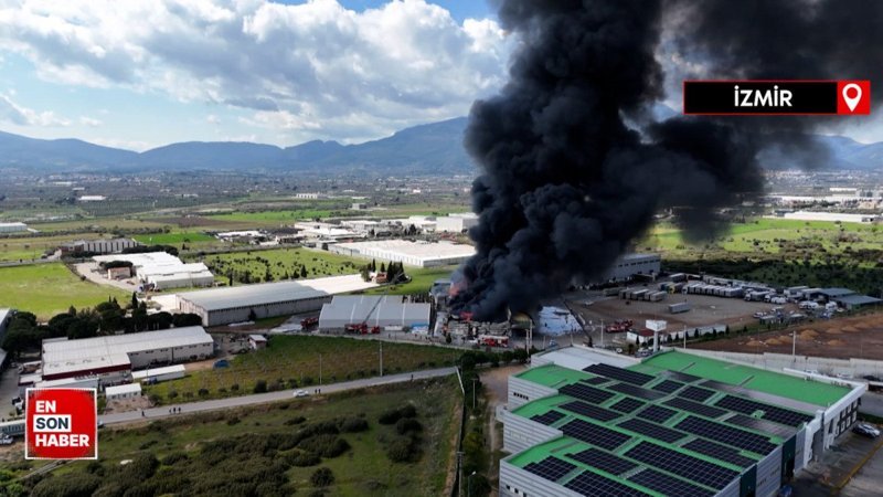 Kemalpaşa'da soğuk hava deposunda yangın