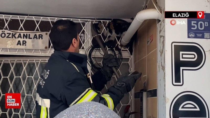 Elazığ'da kedi kurtarma operasyonunda ilginç anlar