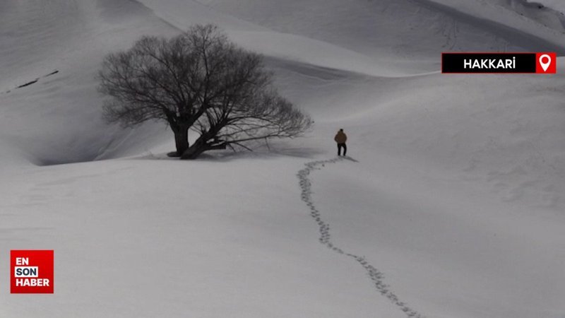 Hakkari'de kar yağışı