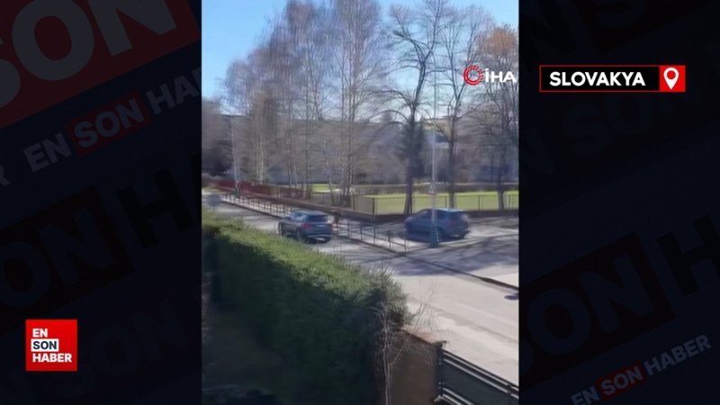 Slovakya’da ayı saldırısı