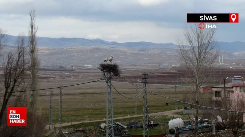 Sivas’ın leylekli köyü, misafirlerini ağırlamaya başladı