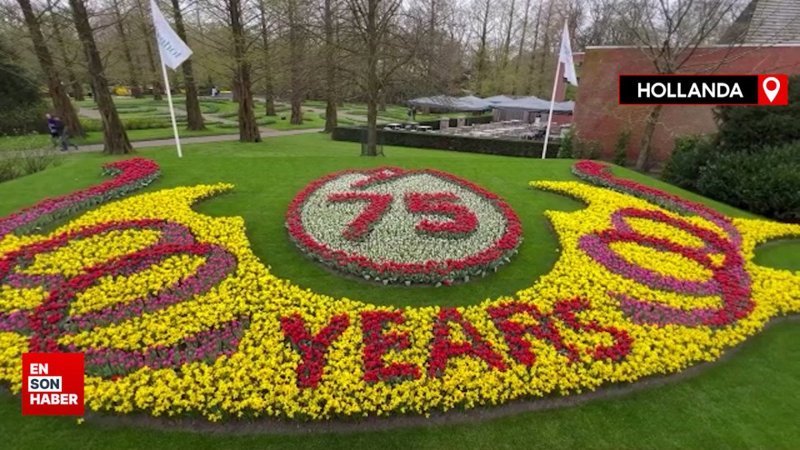 Hollanda'da dünyanın en büyük lale bahçelerinden Keukenhof, 75. kez ziyarete açıldı