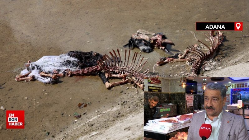 Adana Kasaplar Odası Başkanı: At eti sulu olur, mangal söndürür