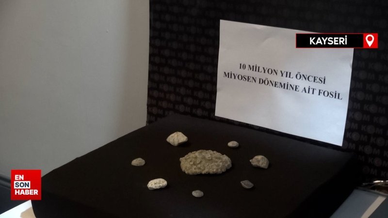 Kayseri'de 10 milyon yıllık fosil ele geçirildi