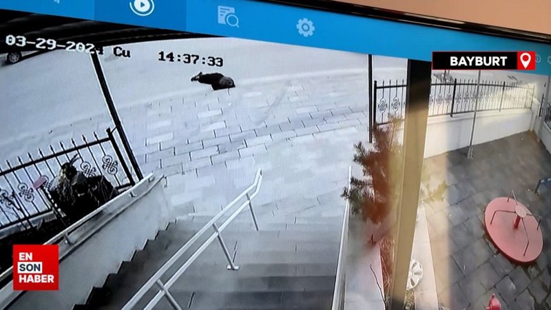 Bayburt'ta minibüsün çarptığı kadın ezilmekten son anda kurtuldu