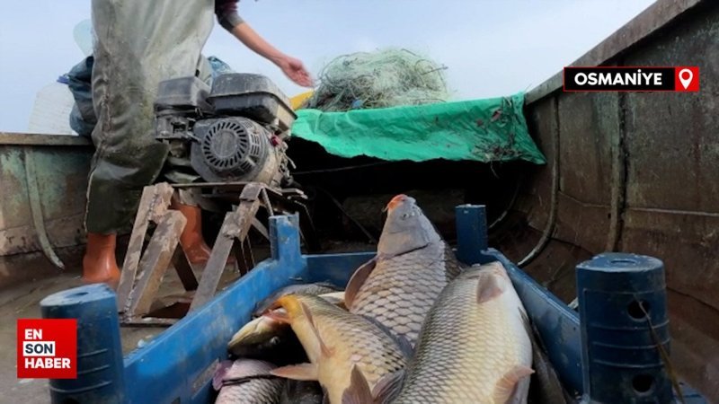 Osmaniye'de av yasağı öncesi balıkçılar son seferini yapıyor
