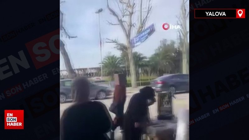 Yalova'da sokaklarda kafasında karton kutuyla gezdi