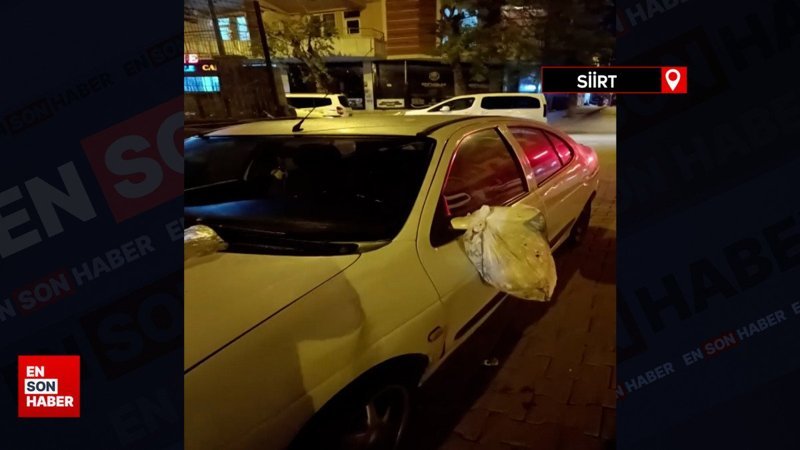 Siirt’te çöplerini konteynerin önüne park eden otomobilin üzerine atılar