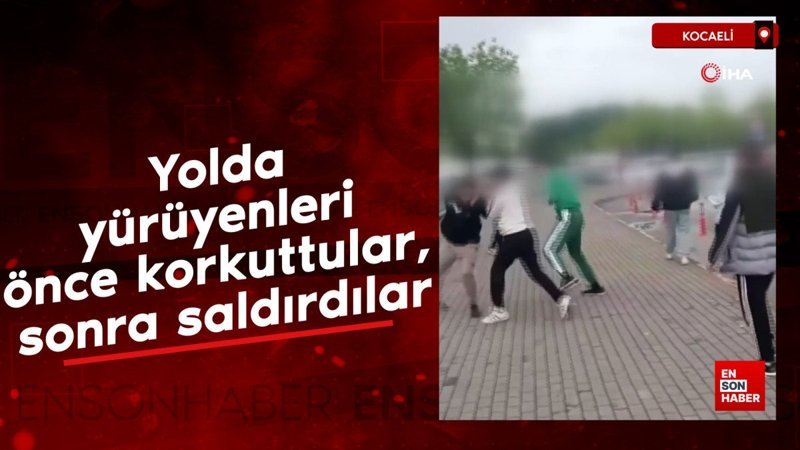 Kocaeli'de yolda yürüyenleri önce korkuttular, sonra saldırdılar