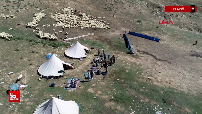 Yetiştiriciler isyanda: 100 bin lira maaşla çalıştıracak çoban bulamıyorlar