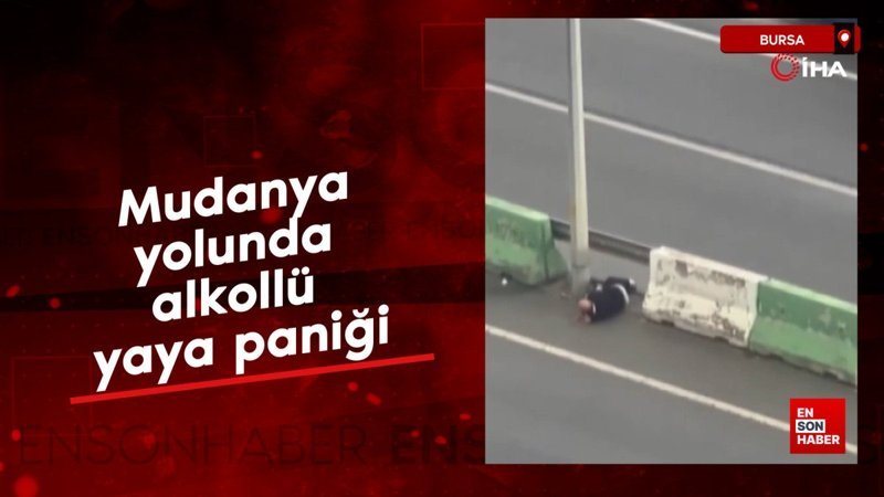 Mudanya yolunda alkollü yaya paniği