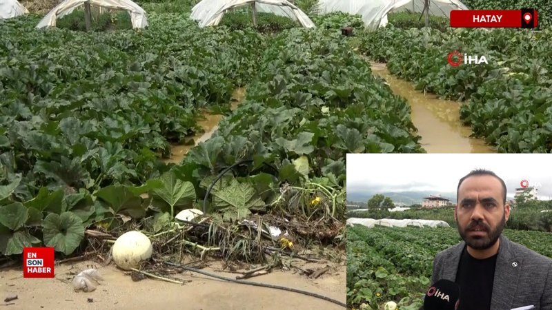 Hatay’da şiddetli yağış nedeniyle tarım arazileri sular altında kaldı