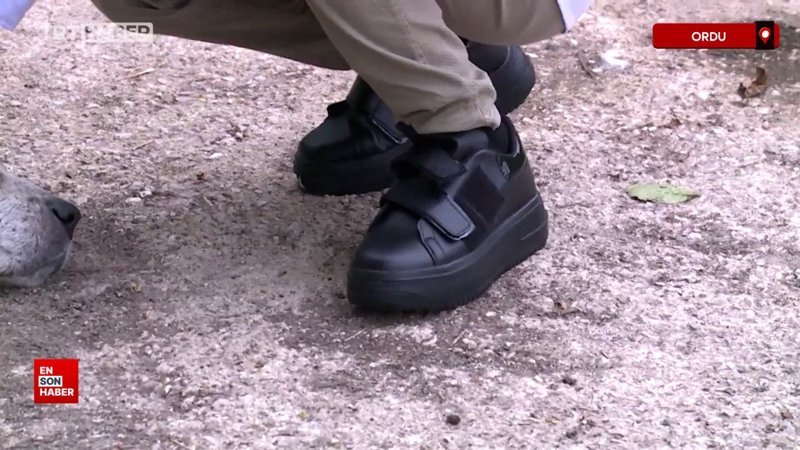 Ordu'da ortaokul öğrencisi 'köpek kaçıran ayakkabı' geliştirdi