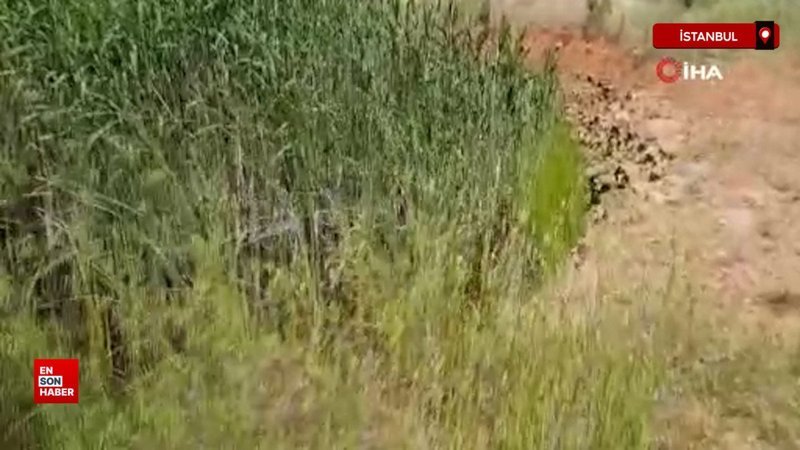 Sancaktepe’de tehlike saçan inşaat çukuruna ilişkin soruşturma başlatıldı