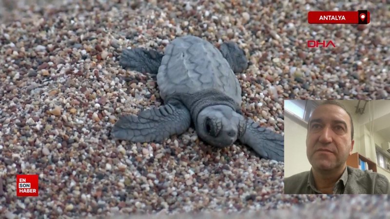 Antalya'da bu sahillere gece girişin cezası 387 bin TL