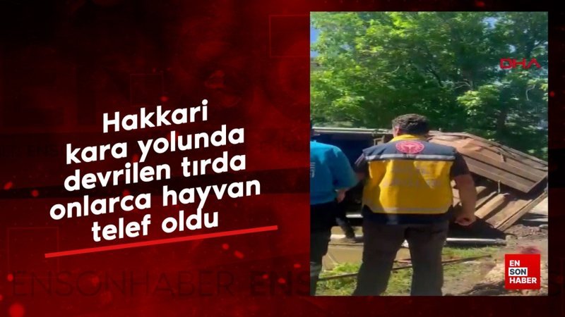 Hakkari kara yolunda devrilen tırda onlarca hayvan telef oldu