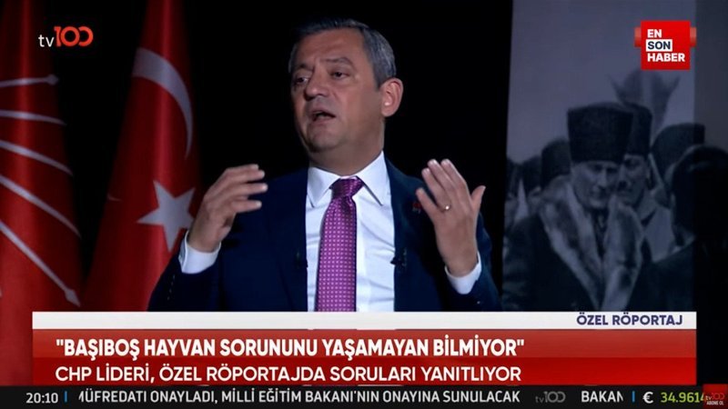 Özgür Özel: Sokak köpeklerini hadi uyut da görelim