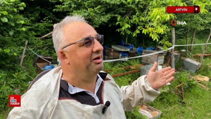 Elektrikli çitleri aşarak kovalarını parçalayan ayıya 