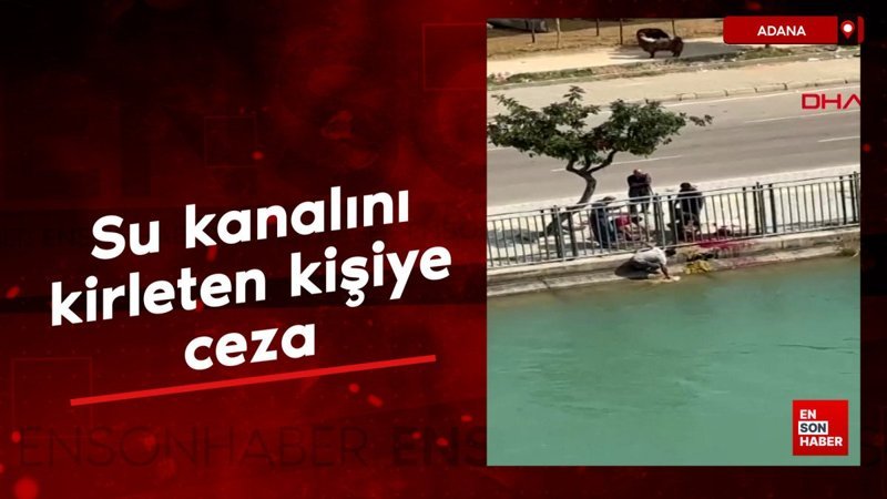 Adana'da kestiği koyunla su kanalını kirleten kişiye ceza