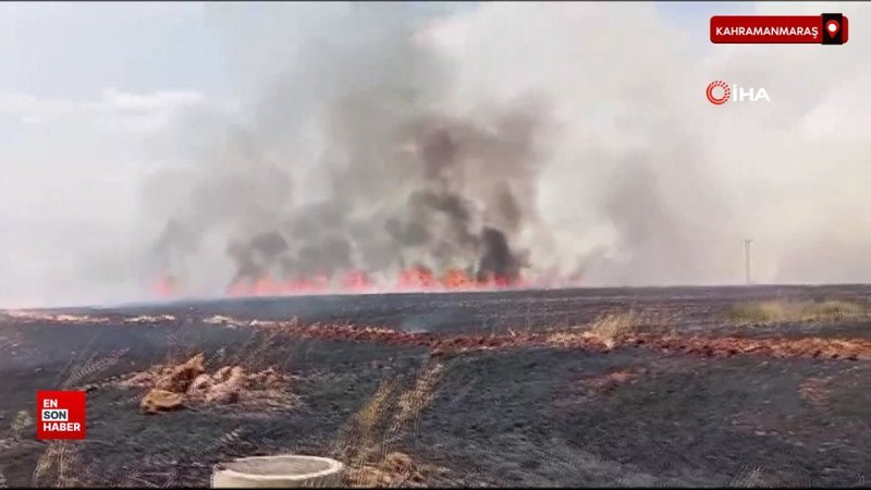 Kahramanmaraş’ta buğday tarlasında yangın