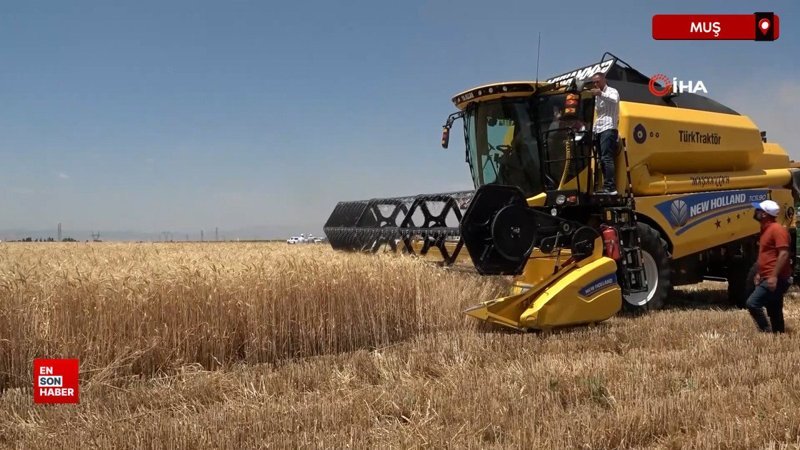 Muş'ta hububat hasadından 7 milyar TL gelir bekleniyor