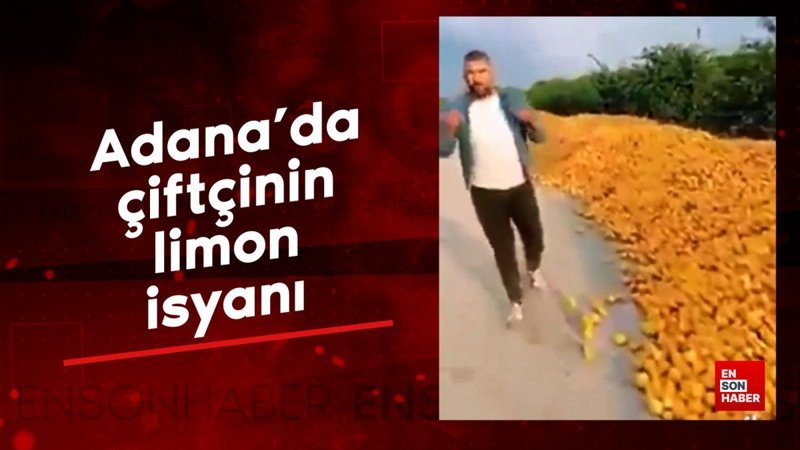 Adana'da çiftçinin limon isyanı