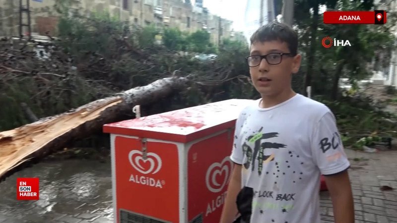 Adana'da çocuk fırtınada devrilen ağacın altında kalmaktan son anda kurtuldu