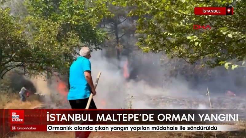 İstanbul Maltepe'de orman yangını