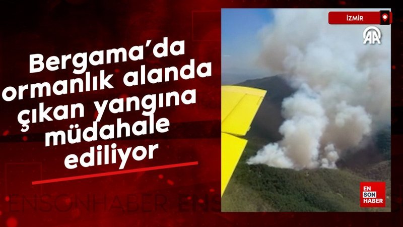 Bergama'da ormanlık alanda çıkan yangına müdahale ediliyor