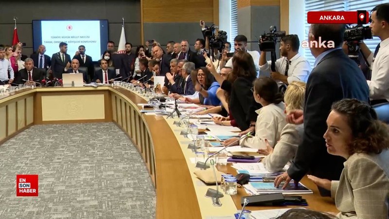 TBMM'de başıboş köpekler tartışması