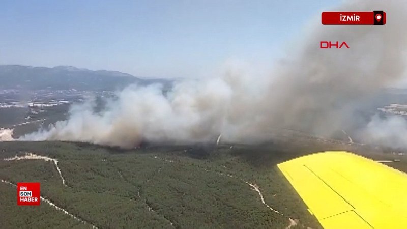 İzmir Buca'da orman yangını çıktı