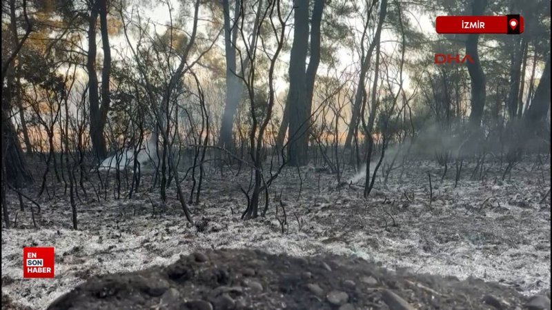 Buca'da orman yangını 2'inci gününde devam ediyor