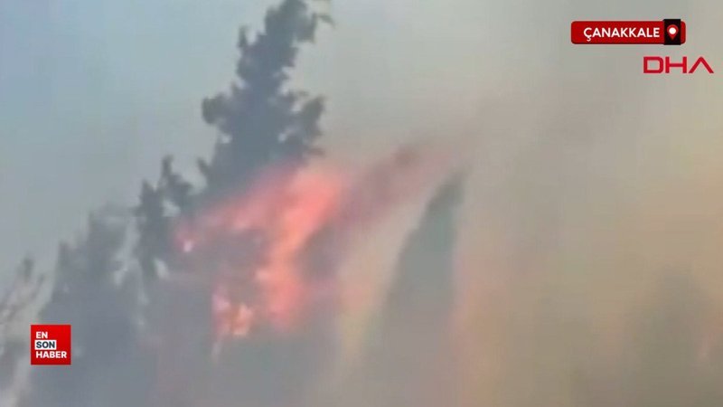 Çanakkale'nin Bayramiç ilçesinde orman yangını çıktı