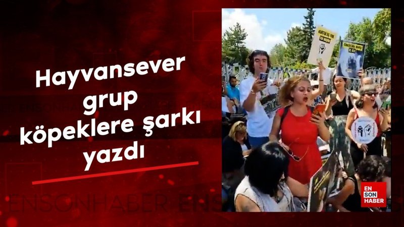 Hayvansever grup, köpeklere şarkı yazdı