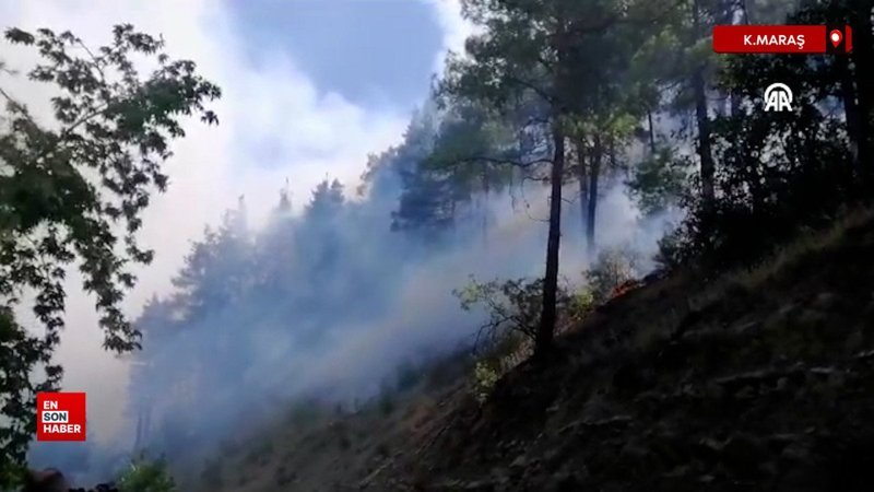 Kahramanmaraş'ta orman yangını çıktı