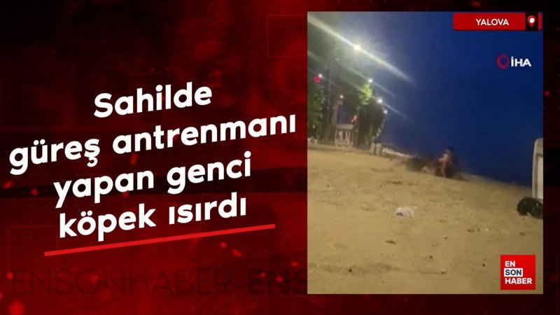 Yalova’da sahilde güreş antrenmanı yapan genci köpek ısırdı
