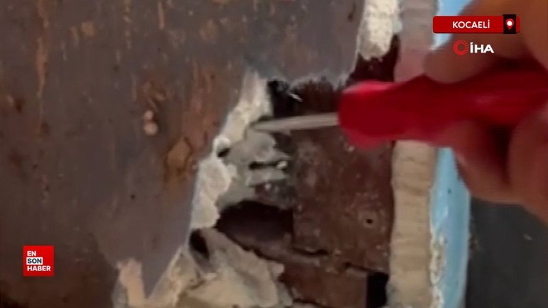 Kocaeli'de sesleri rehber oldu, yavru kediler böyle kurtarıldı