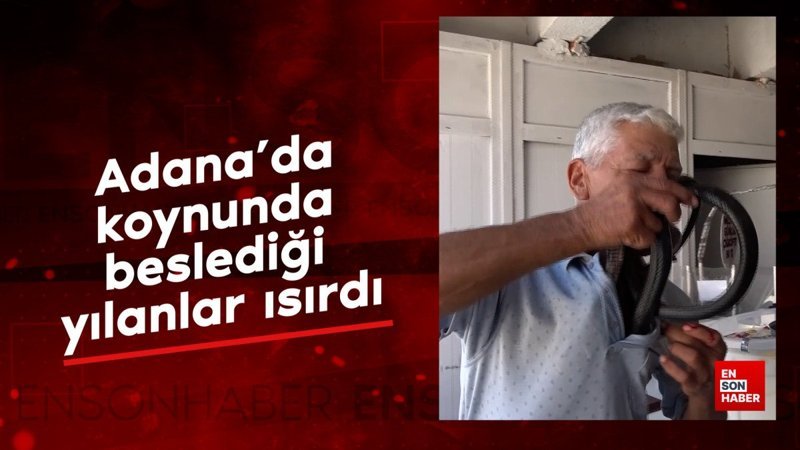 Adana'da koynunda beslediği yılanlar ısırdı