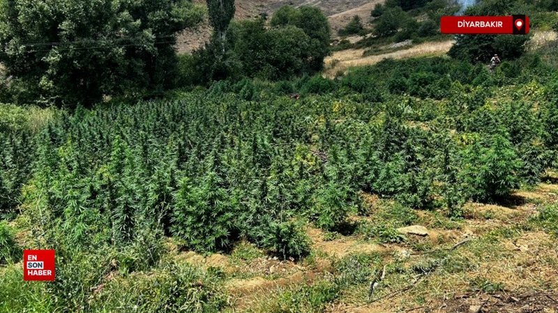 Diyarbakır'da PKK'nın uyuşturucu ticaretine darbe