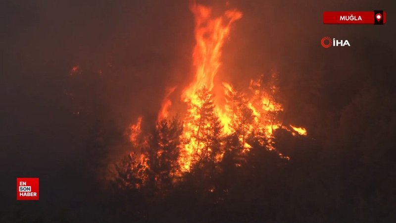 Milas'ta orman yangını