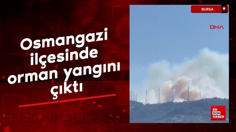 Bursa'da orman yangını