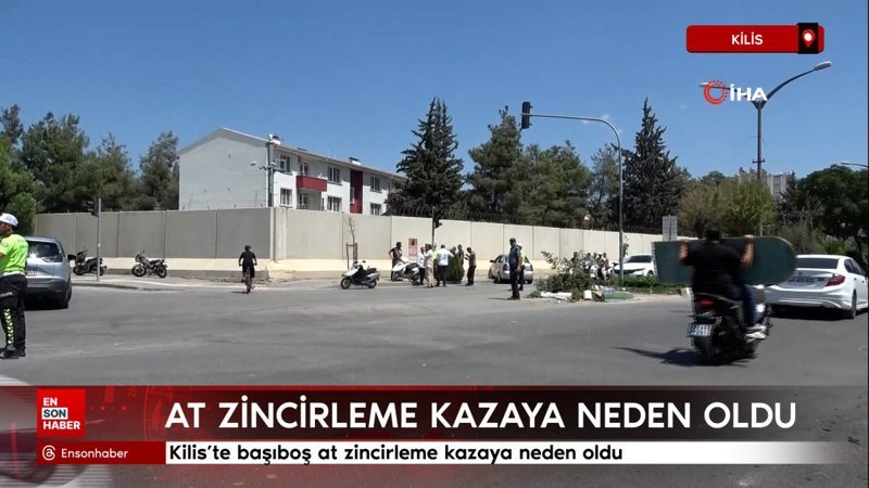 Kilis'te başıboş at zincirleme kazaya neden oldu