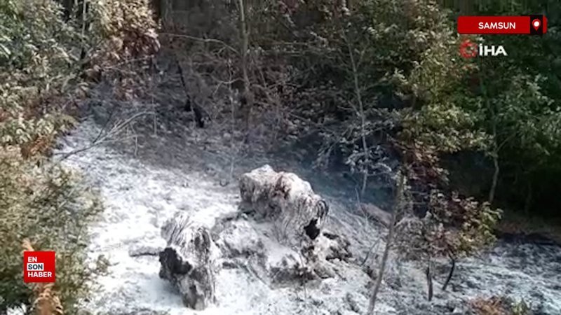 Samsun'da anız yangını