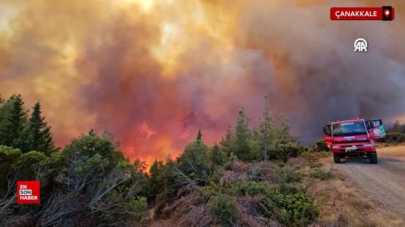 Çanakkale'nin Eceabat ilçesindeki orman yangınına müdahale ediliyor