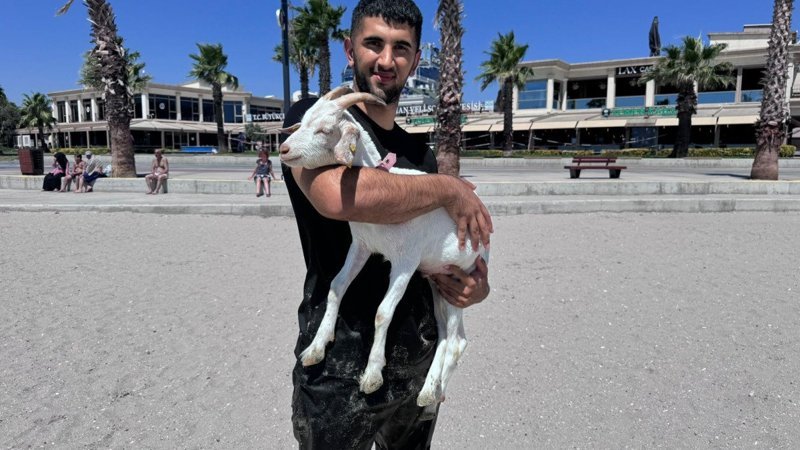 İstanbul'da bayramdan bu yana baktığı keçiyi evcilleştirdi
