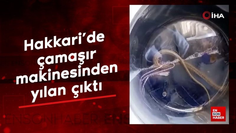 Hakkari'de çamaşır makinesinden yılan çıktı